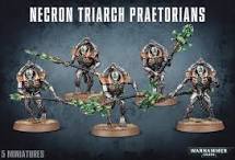 WH Necron Triarch Prateorians